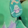 SQUISHMALLOWS PALLET